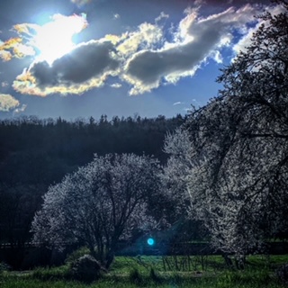 Paysage d'hiver