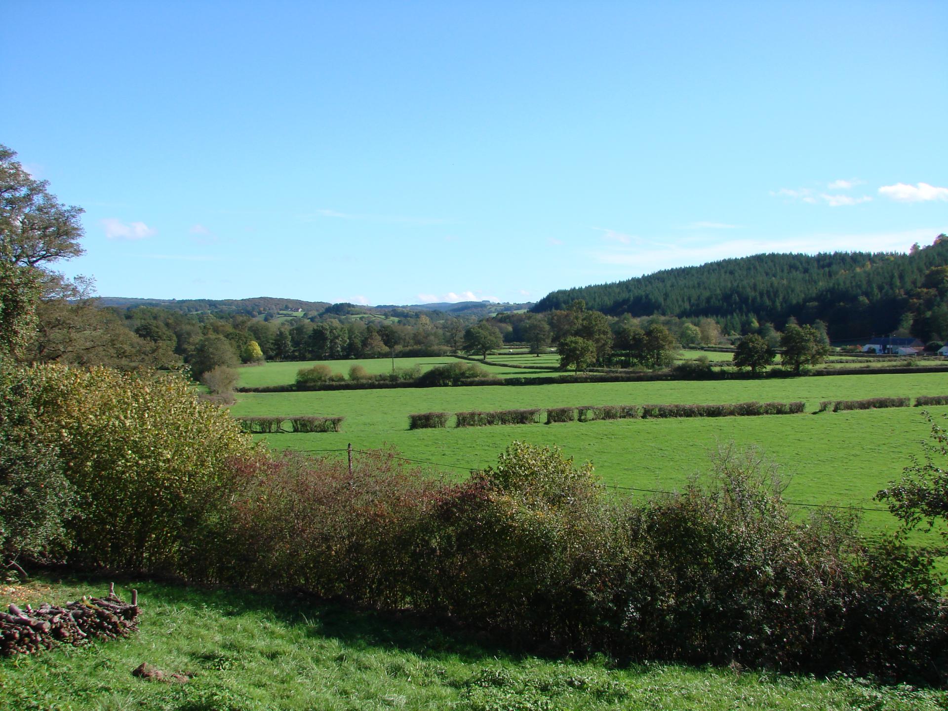 Vallée de l'Yonne